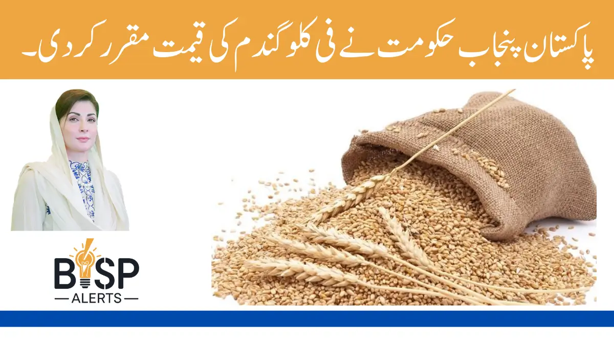 Pakistan Punjab Govt Fixes Wheat Price Per Kg New Update