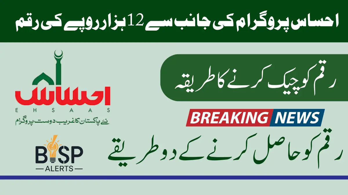 8171 Pass Gov Pk 12000 | Ehsaas Tracking 2024 Latest News