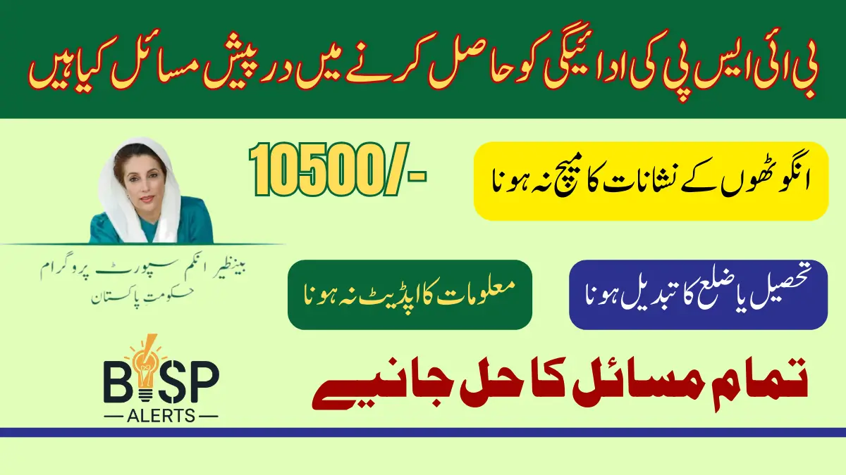 List Of Error While Getting BISP 10500 Payment And Solution Latest Update