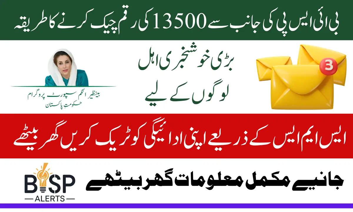 Benazir Kafalat 13500 Payment Check Through SMS Using CNIC 2025 Latest Update