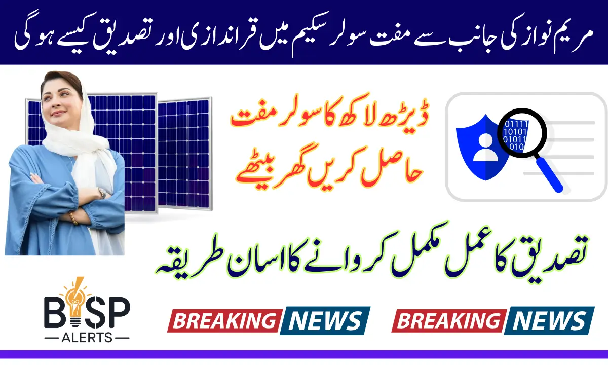 Electricity Meter And Family Verification Date For CM Free Solar Panel Scheme 2025