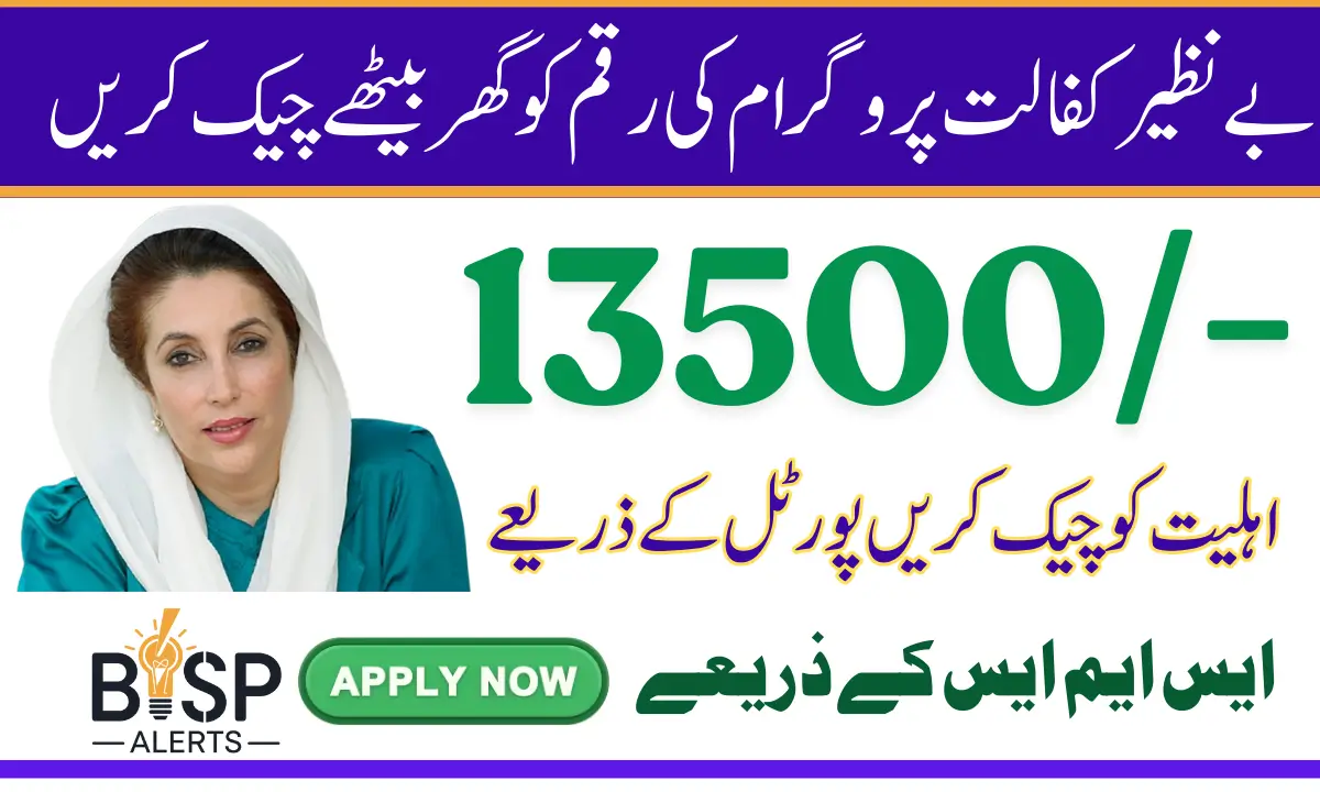 BISP 8171 Eligibility Check 13500 Through Online Portal In 2025 Know Complete Details