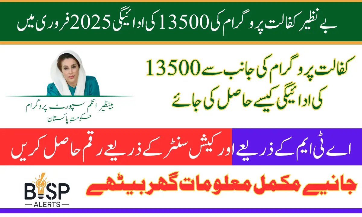 Benazir Kafalat Program Payments February 2025 How Many Families Can Get 13500